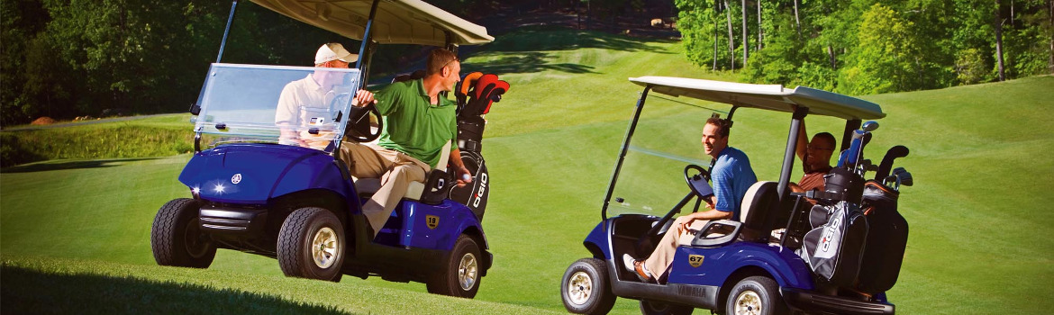 2019 Yamaha Golf-Car The Drive2-Fleet for sale in Chattanooga Golf Carts, Chattanooga, Tennessee
